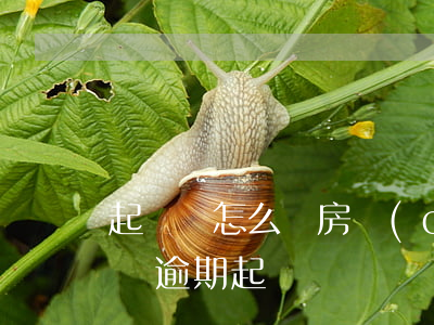 起訴書怎么寫房產(chǎn)逾期糾紛 房貸逾期起訴書
