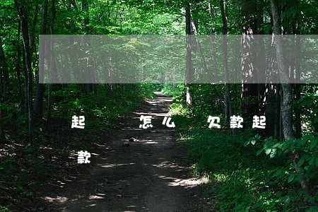起訴書怎么寫欠款(起訴狀怎么寫 民事糾紛 欠款)