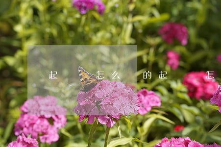 起訴書怎么寫的(起訴書怎么寫的模板)