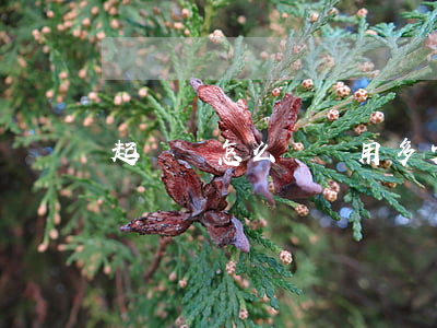 起訴書怎么寫費用多少(法院要錢起訴書怎么寫)