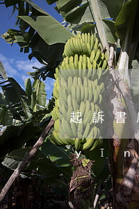 起訴書應(yīng)該怎么寫(起訴書應(yīng)該怎么寫呀?什么樣的格式啊?)