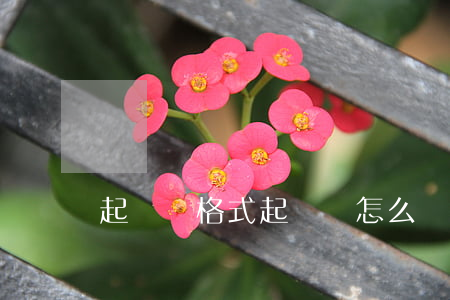 起訴書格式(起訴書怎么寫)