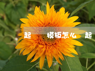起訴書模板怎么寫(起訴書模板怎么寫)