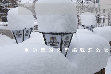 起訴書的文書編號怎么寫(起訴書是怎么寫的)