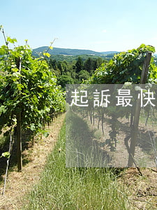起訴最快要多久(法院起訴需要多久)