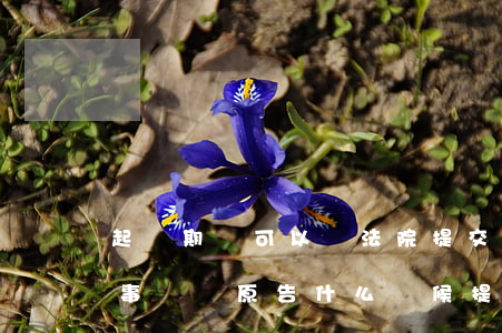 起訴期間可以給法院提交證據(jù)嗎(民事訴訟原告什么時候提交證據(jù))