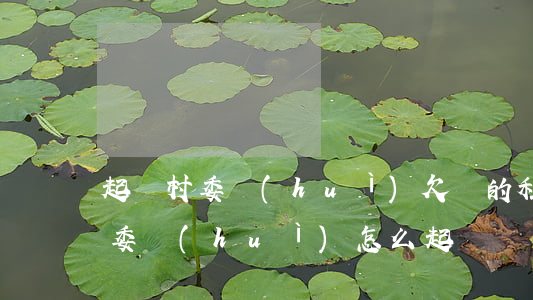 起訴村委會(huì)欠錢的程序-起訴村委會(huì)怎么起訴