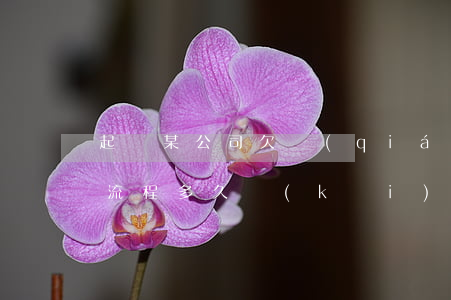 起訴某公司欠錢(qián)(起訴公司欠款流程多久開(kāi)庭)