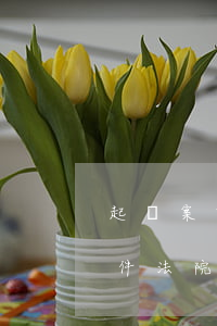 起訴案中一般交通費一天多少錢(一般交通案件法院的起訴費是多少)