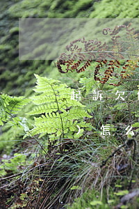 起訴欠債人他沒(méi)有錢(qián)怎么辦(債務(wù)起訴被告人沒(méi)錢(qián)還怎么辦)