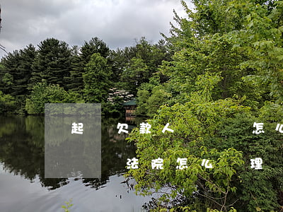 起訴欠款人沒錢還怎么辦還挺橫(欠款人沒有錢還法院怎么處理)