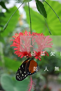 起訴欠款人無力償還怎么辦要利息-起訴欠款人無力償還怎么辦要利息多少