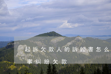 起訴欠款人的訴訟書怎么寫(起訴狀怎么寫 民事糾紛 欠款)