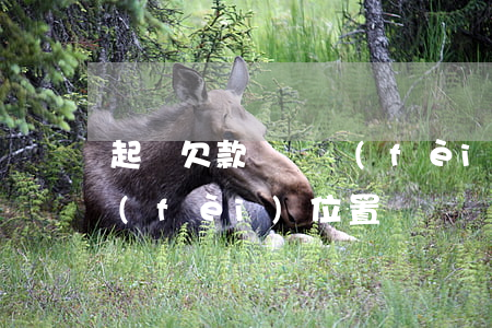 起訴欠款訴訟費(fèi)誰出（欠錢起訴費(fèi)位置）