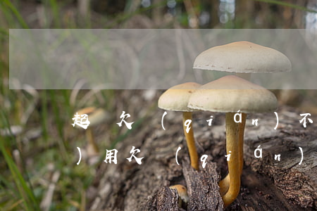 起訴欠錢(qián)不還律師費(fèi)用(欠錢(qián)不還起訴律師收費(fèi))