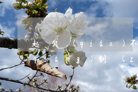 起訴欠錢(qián)不還怎么樣可以強(qiáng)制執(zhí)行（起訴欠錢(qián)不還怎么樣）