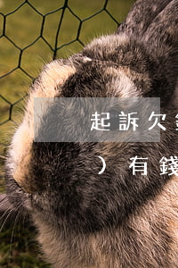 起訴欠錢(qián)不還,被告沒(méi)有錢(qián)還怎么辦（被起訴欠錢(qián)沒(méi)換）
