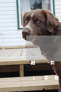 起訴欠錢(qián)能要下錢(qián)不(欠錢(qián)起訴的話能全部還清錢(qián)嗎)