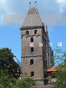 起訴欠錢(qián)需要帶什么
