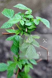 起訴欠錢三年不執(zhí)行(欠錢三年不還告上法院有用嗎)