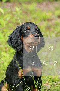 起訴欠錢不還利息年利率多少(欠錢不還起訴利息是多少怎么算)