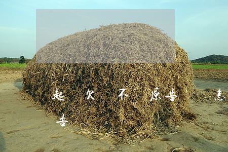 起訴欠錢不還原告敗訴怎么辦（起訴欠錢的原告敗訴）