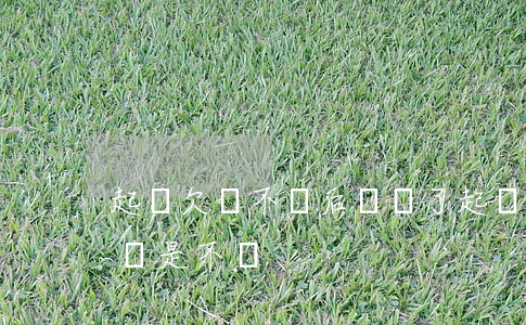 起訴欠錢不還后還錢了(起訴欠錢不還起訴后還是不還)