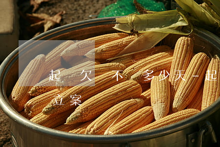 起訴欠錢不還多少天-起訴欠錢不還多少天立案