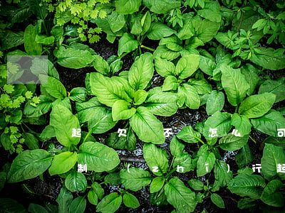 起訴欠錢不還怎么樣可以強(qiáng)制執(zhí)行（起訴欠錢不還怎么樣）