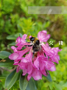起訴欠錢不還有用嗎 起訴欠錢不還有用嗎