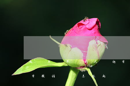 起訴欠錢不還的人對他有什么影響-欠款只有微信記錄怎么起訴
