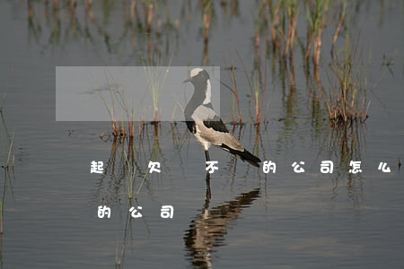 起訴欠錢不還的公司怎么處理（起訴欠錢不還的公司）