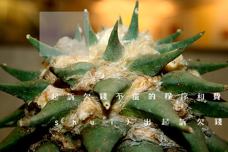 起訴欠錢不還的程序和費(fèi)用誰(shuí)出(起訴欠錢不還的程序和費(fèi)用多少)