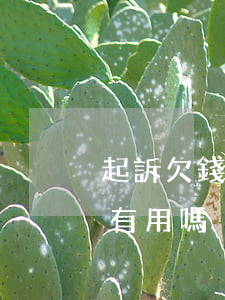 起訴欠錢不還的老賴-欠錢不還的老賴起訴有用嗎