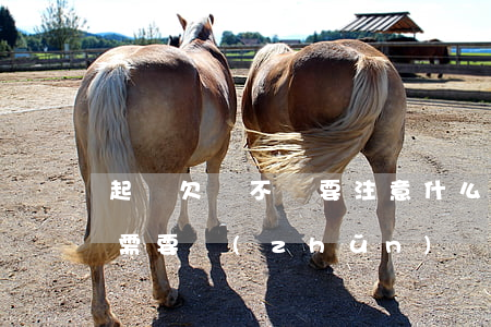 起訴欠錢不還要注意什么(起訴欠錢不還的人需要準(zhǔn)備什么材料)