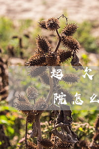 起訴欠錢不還贏了官司-欠錢不還告贏了法院怎么辦理