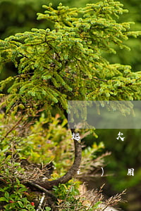 起訴欠錢不還起訴有用嗎（欠錢起訴沒(méi)用嗎）
