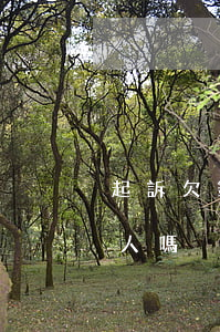 起訴欠錢人可以委托嗎(欠錢起訴可以委托別人嗎)