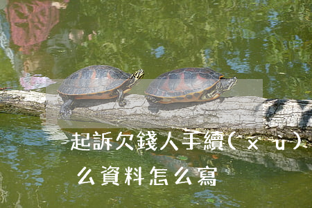 起訴欠錢人手續(xù)-起訴欠款人要什么資料怎么寫