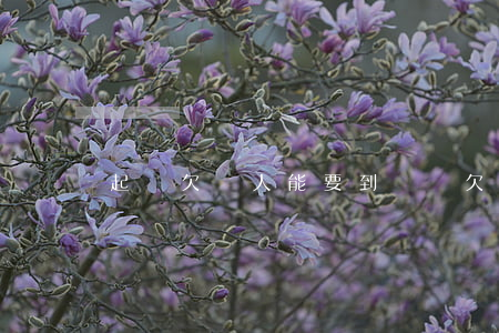 起訴欠錢人能要到錢嗎(欠錢起訴可以索要賠償嗎)