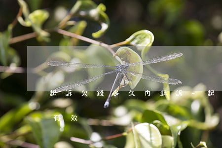 起訴欠錢多久再起訴-起訴欠錢多久再起訴有效