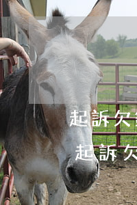 起訴欠錢多少錢手續(xù)費(fèi)(起訴欠款需要多少費(fèi)用)