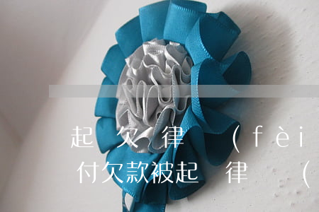起訴欠錢律師費(fèi)誰(shuí)付(欠款被起訴律師費(fèi),訴訟費(fèi))