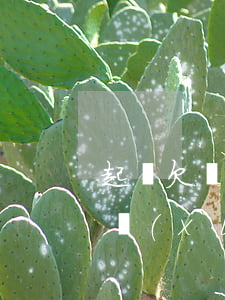 起訴欠錢怎么辦(去起訴別人欠錢需要什么手續(xù))