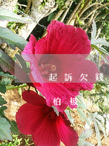 起訴欠錢怕報(bào)復(fù)(欠錢不怕被起訴)