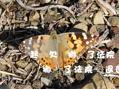 起訴欠錢撤訴了法院會退回欠條嗎-起訴欠錢撤訴了法院會退回欠條嗎怎么寫
