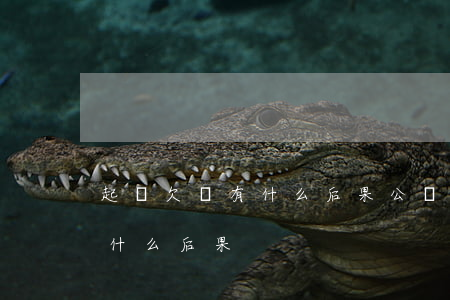 起訴欠錢有什么后果(公職人員被起訴欠錢有什么后果)