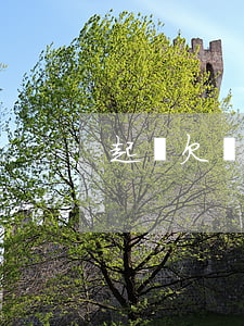 起訴欠錢未出庭 我欠錢被起訴了沒有出庭