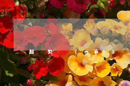 起訴欠錢沒(méi)錢還怎么辦
