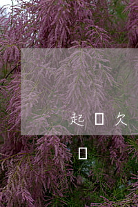 起訴欠錢法院怎么收費(欠錢法院起訴費多少錢)
